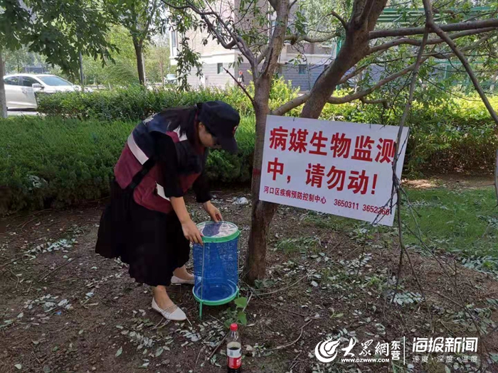 病媒生物监测