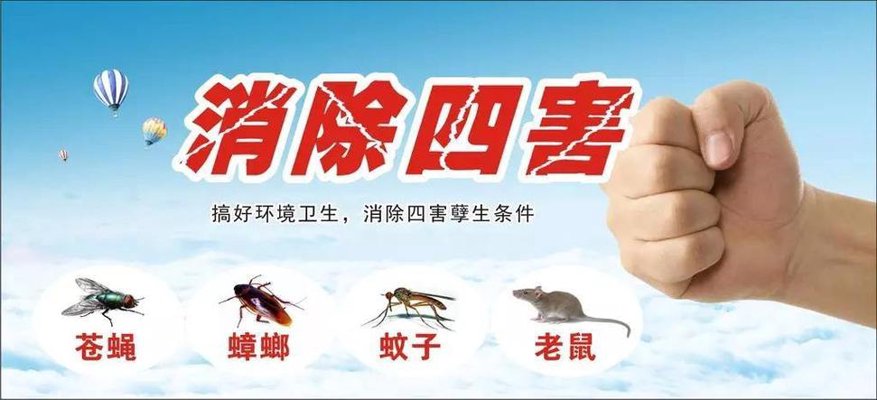除四害服务